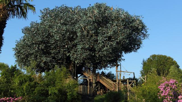La Cabane des Robinsons